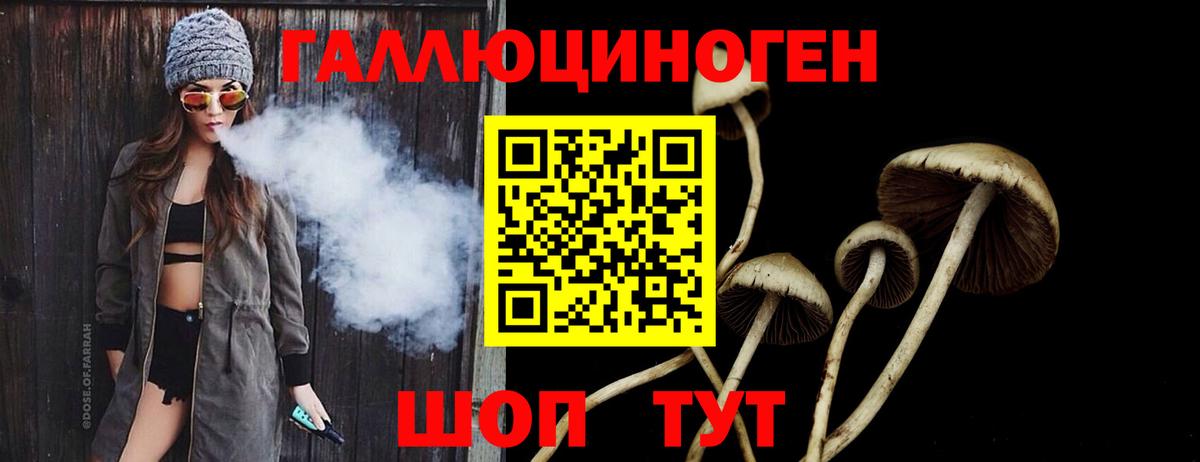 Галлюциногенные грибы Psilocybe Джанкой